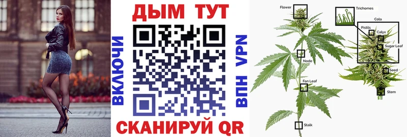 OMG сайт  что такое   Щёлкино  МАРИХУАНА THC 21% 